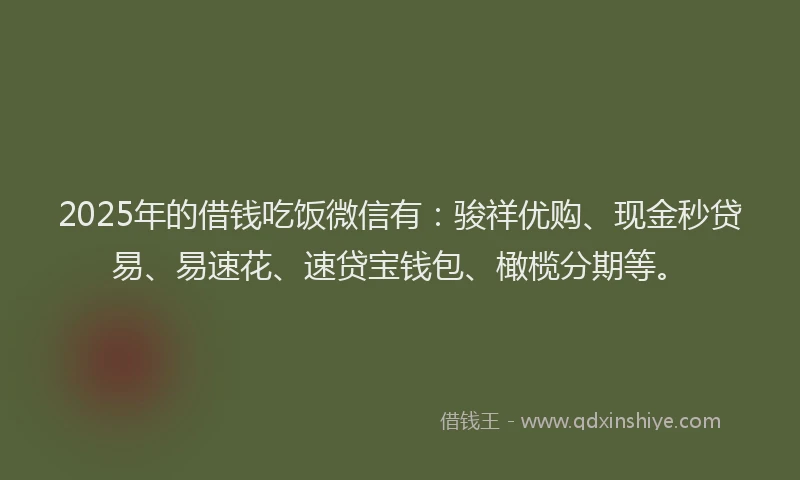 2025年的借钱吃饭微信有：骏祥优购、现金秒贷易、易速花、速贷宝钱包、橄榄分期等。