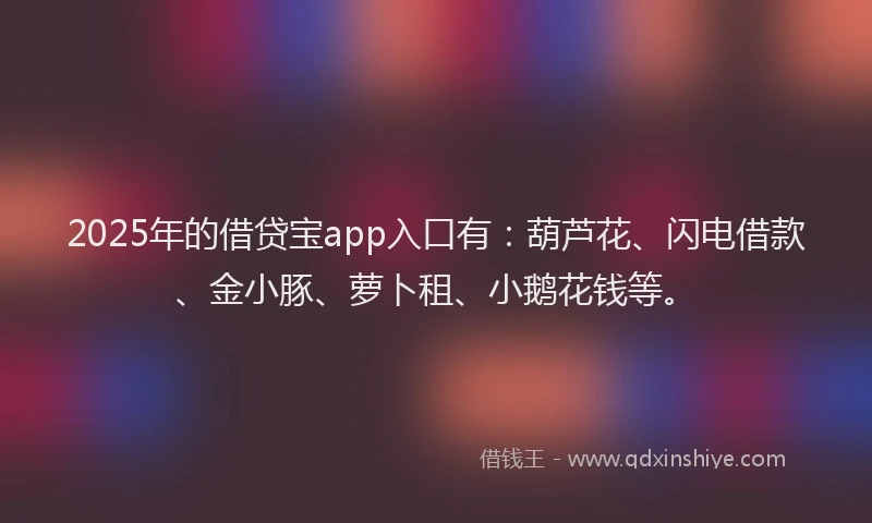 2025年的借贷宝app入口有：葫芦花、闪电借款、金小豚、萝卜租、小鹅花钱等。