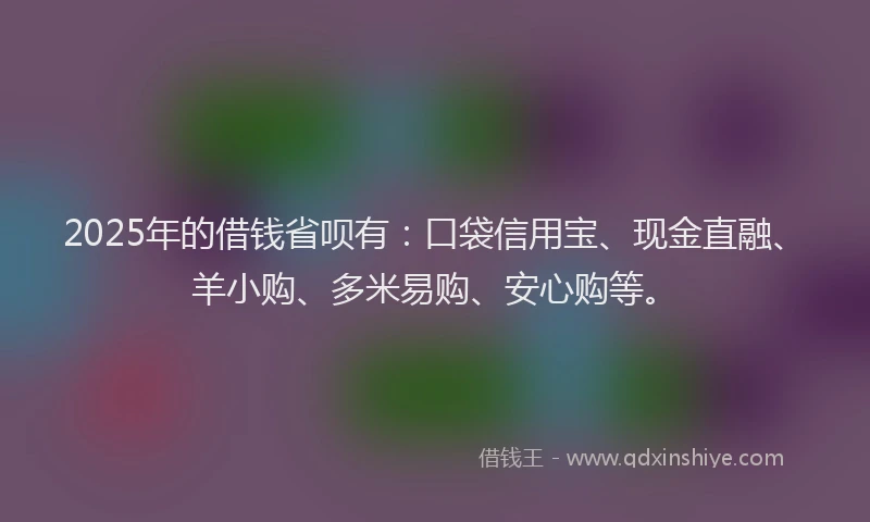 2025年的借钱省呗有：口袋信用宝、现金直融、羊小购、多米易购、安心购等。