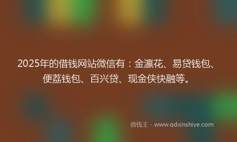 2025年的借钱网站微信有：金瀛花、易贷钱包、便荔钱包、百兴贷、现金侠快融等。