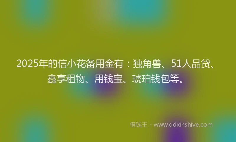 2025年的信小花备用金有：独角兽、51人品贷、鑫享租物、用钱宝、琥珀钱包等。
