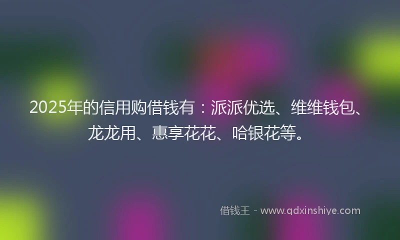 2025年的信用购借钱有：派派优选、维维钱包、龙龙用、惠享花花、哈银花等。