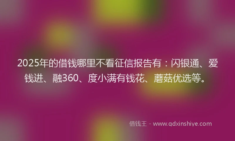 2025年的借钱哪里不看征信报告有：闪银通、爱钱进、融360、度小满有钱花、蘑菇优选等。