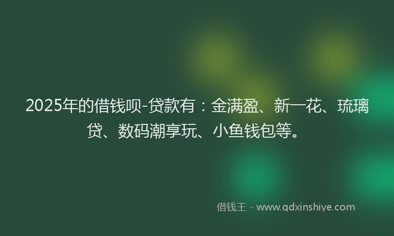 2025年的借钱呗-贷款有：金满盈、新一花、琉璃贷、数码潮享玩、小鱼钱包等。
