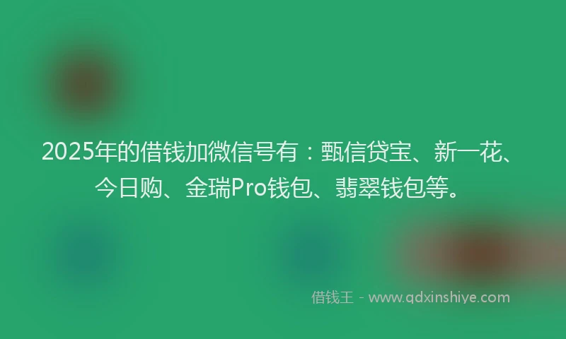 2025年的借钱加微信号有：甄信贷宝、新一花、今日购、金瑞Pro钱包、翡翠钱包等。