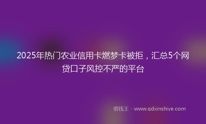 2025年热门农业信用卡燃梦卡被拒，汇总5个网贷口子风控不严的平台