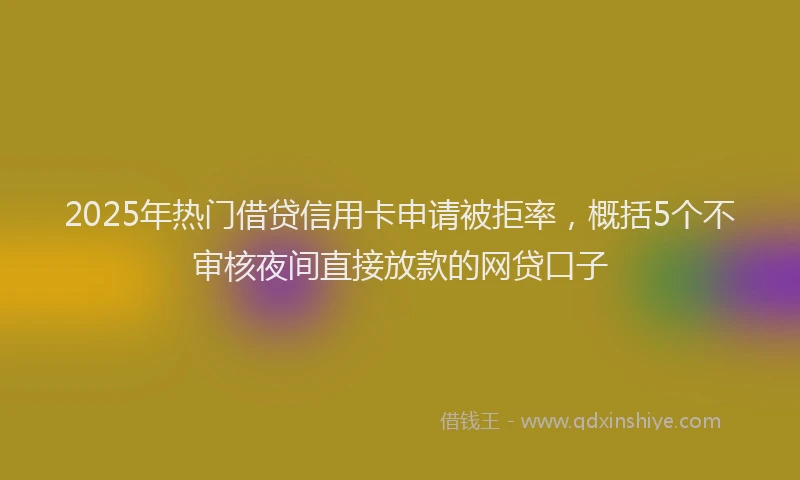 2025年热门借贷信用卡申请被拒率，概括5个不审核夜间直接放款的网贷口子