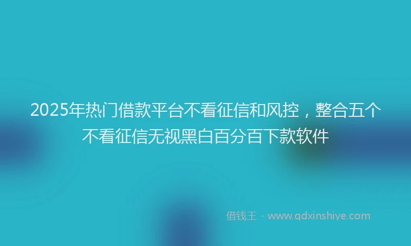 2025年热门借款平台不看征信和风控，整合五个不看征信无视黑白百分百下款软件