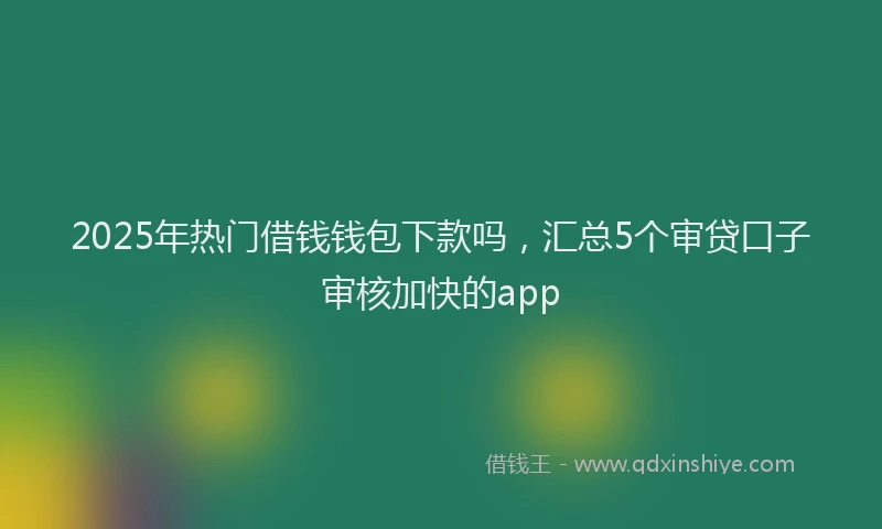 2025年热门借钱钱包下款吗，汇总5个审贷口子审核加快的app