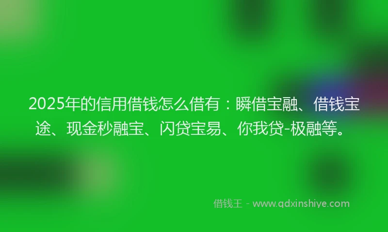 2025年的信用借钱怎么借有：瞬借宝融、借钱宝途、现金秒融宝、闪贷宝易、你我贷-极融等。