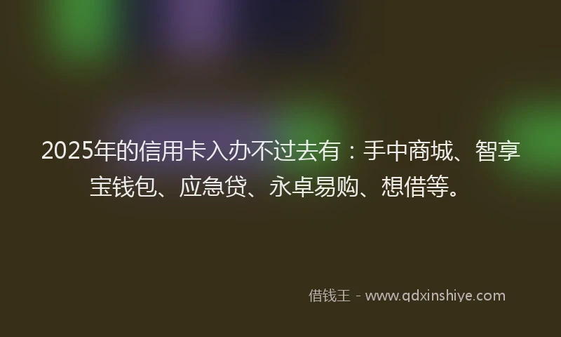 2025年的信用卡入办不过去有：手中商城、智享宝钱包、应急贷、永卓易购、想借等。