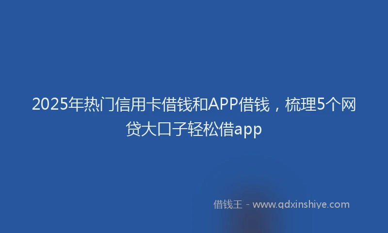 2025年热门信用卡借钱和APP借钱，梳理5个网贷大口子轻松借app