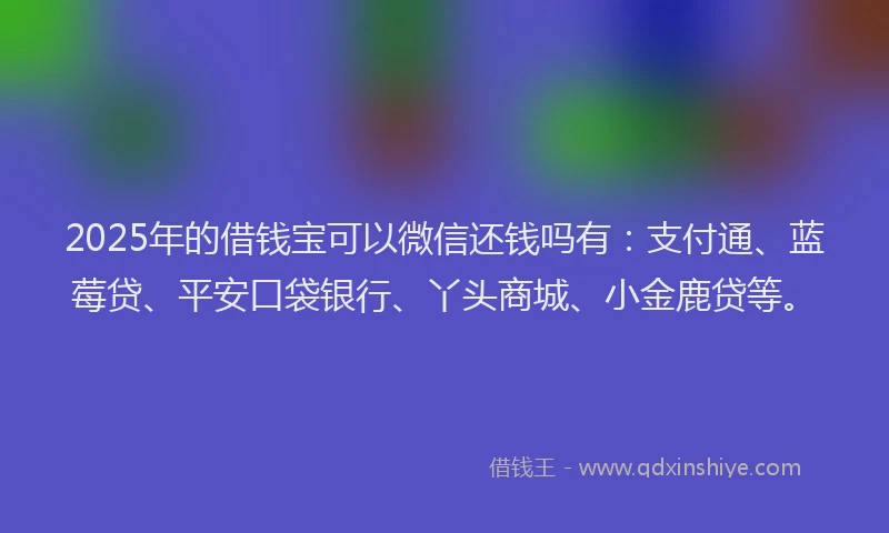 2025年的借钱宝可以微信还钱吗有：支付通、蓝莓贷、平安口袋银行、丫头商城、小金鹿贷等。