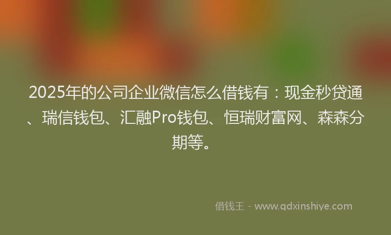2025年的公司企业微信怎么借钱有：现金秒贷通、瑞信钱包、汇融Pro钱包、恒瑞财富网、森森分期等。