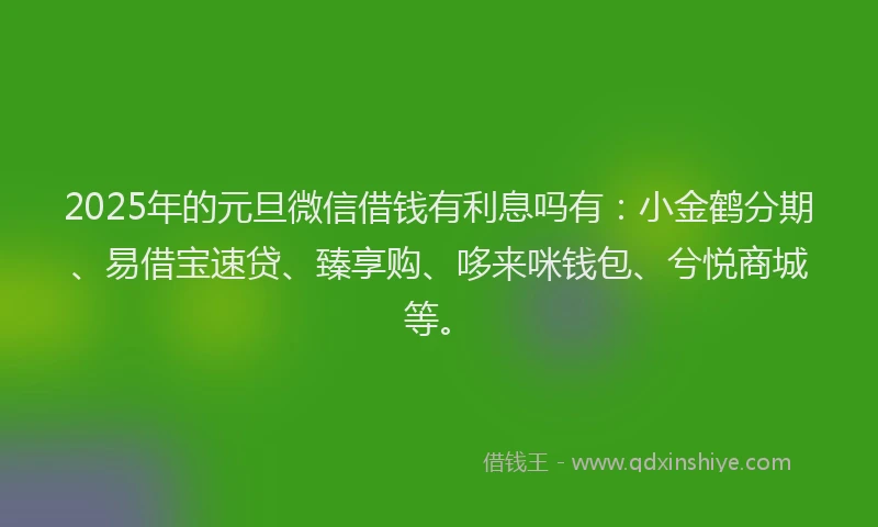 2025年的元旦微信借钱有利息吗有：小金鹤分期、易借宝速贷、臻享购、哆来咪钱包、兮悦商城等。