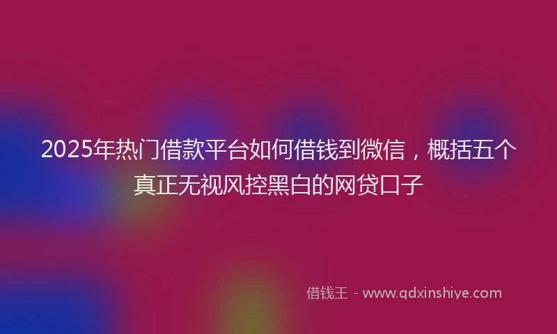 2025年热门借款平台如何借钱到微信，概括五个真正无视风控黑白的网贷口子