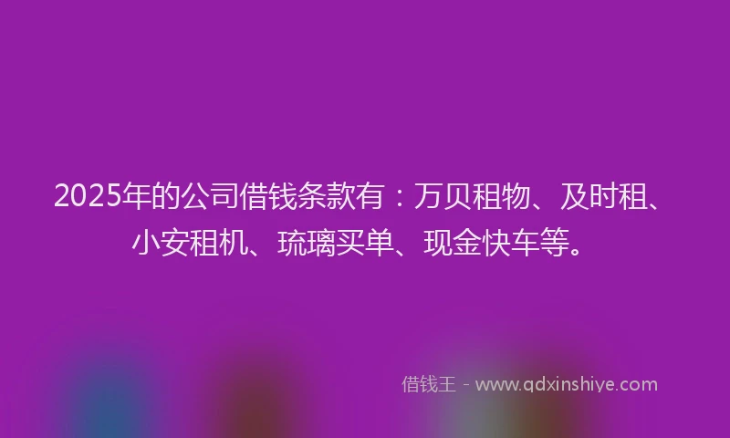 2025年的公司借钱条款有：万贝租物、及时租、小安租机、琉璃买单、现金快车等。
