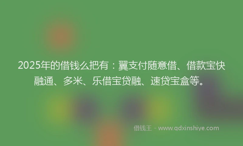 2025年的借钱么把有：翼支付随意借、借款宝快融通、多米、乐借宝贷融、速贷宝盒等。