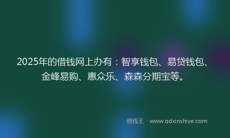 2025年的借钱网上办有：智享钱包、易贷钱包、金峰易购、惠众乐、森森分期宝等。