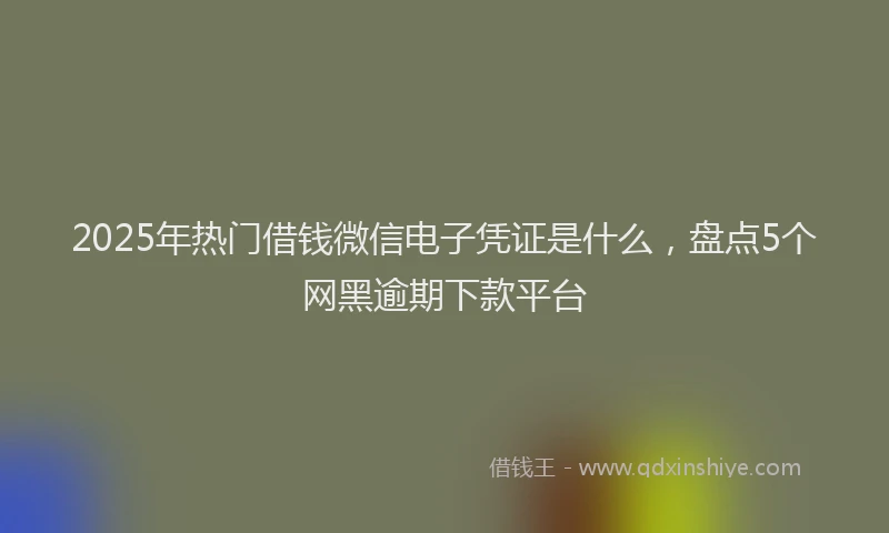2025年热门借钱微信电子凭证是什么，盘点5个网黑逾期下款平台