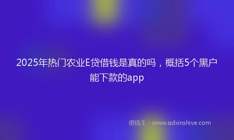 2025年热门农业E贷借钱是真的吗，概括5个黑户能下款的app