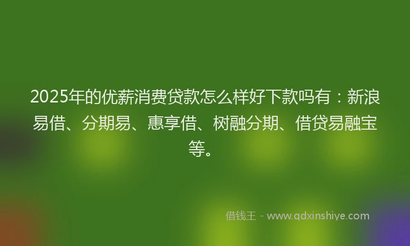 2025年的优薪消费贷款怎么样好下款吗有：新浪易借、分期易、惠享借、树融分期、借贷易融宝等。