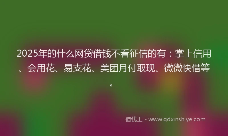 2025年的什么网贷借钱不看征信的有：掌上信用、会用花、易支花、美团月付取现、微微快借等。