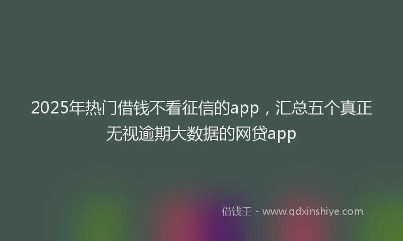 2025年热门借钱不看征信的app，汇总五个真正无视逾期大数据的网贷app