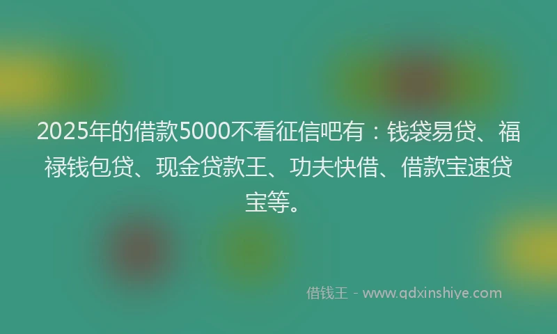 2025年的借款5000不看征信吧有：钱袋易贷、福禄钱包贷、现金贷款王、功夫快借、借款宝速贷宝等。