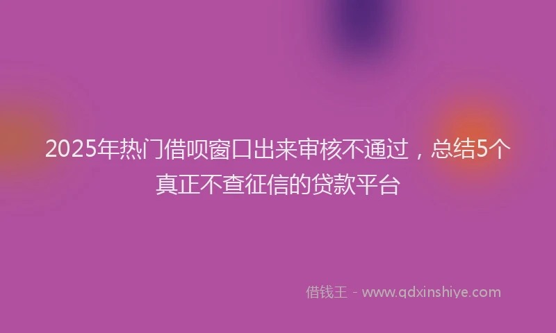 2025年热门借呗窗口出来审核不通过，总结5个真正不查征信的贷款平台