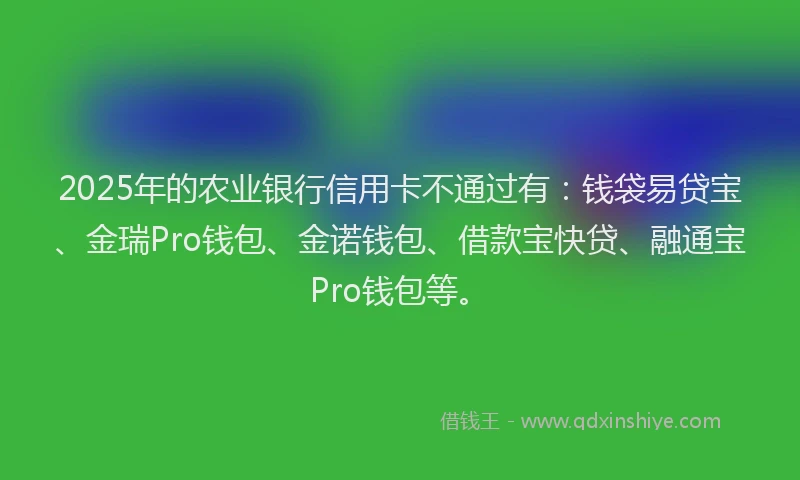 2025年的农业银行信用卡不通过有：钱袋易贷宝、金瑞Pro钱包、金诺钱包、借款宝快贷、融通宝Pro钱包等。
