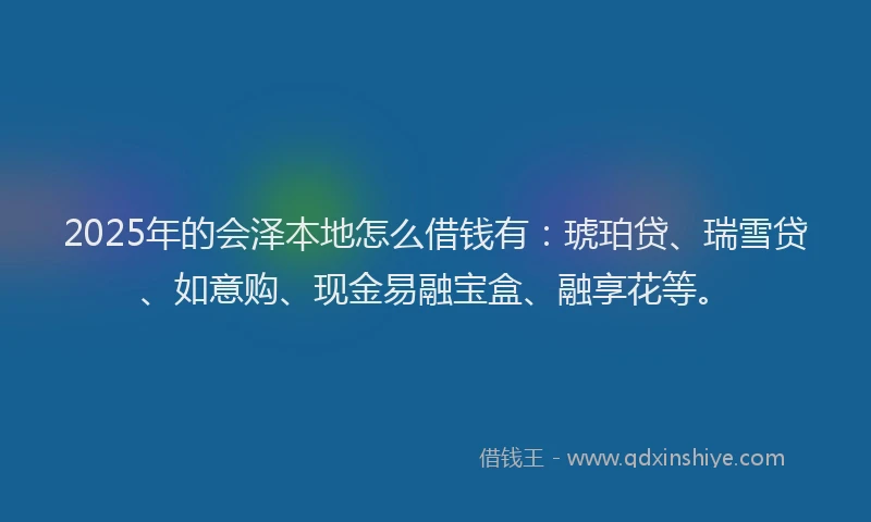 2025年的会泽本地怎么借钱有：琥珀贷、瑞雪贷、如意购、现金易融宝盒、融享花等。