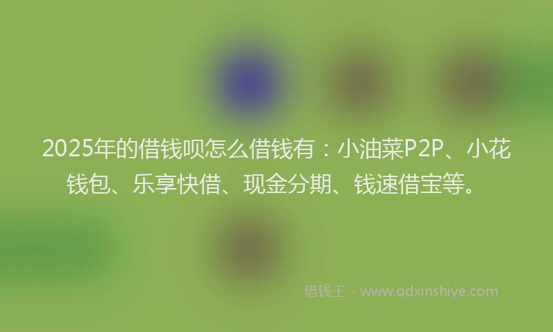2025年的借钱呗怎么借钱有：小油菜P2P、小花钱包、乐享快借、现金分期、钱速借宝等。