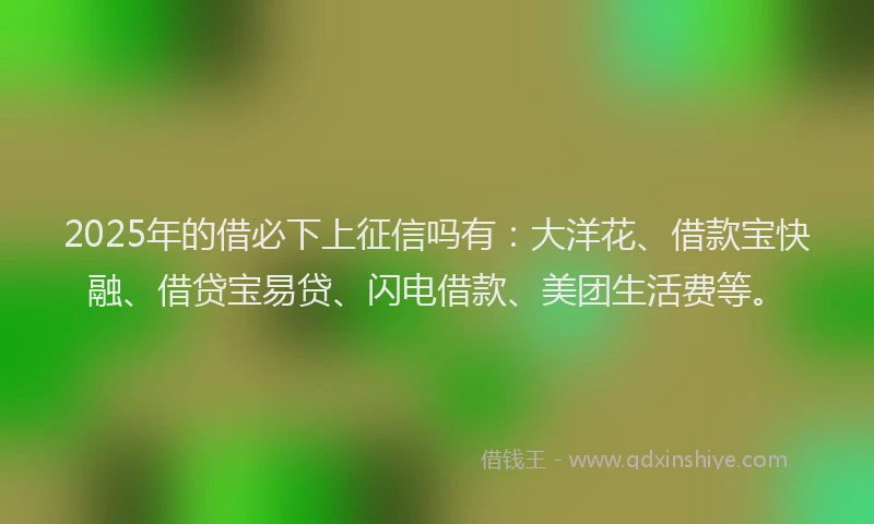 2025年的借必下上征信吗有：大洋花、借款宝快融、借贷宝易贷、闪电借款、美团生活费等。