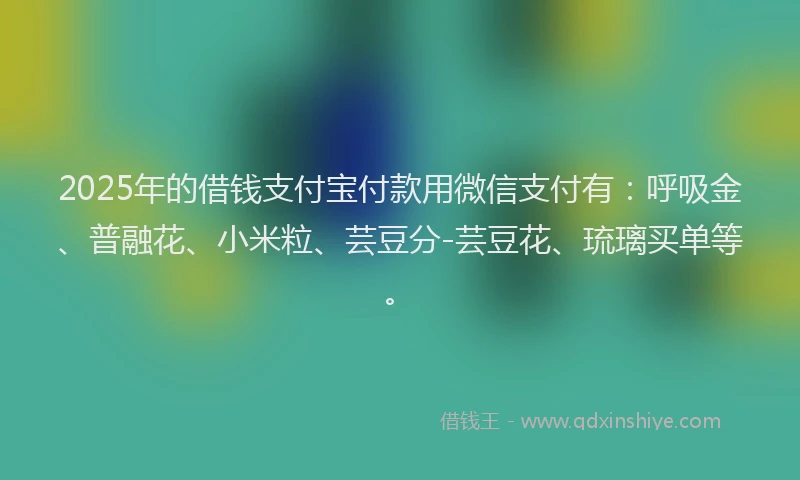 2025年的借钱支付宝付款用微信支付有：呼吸金、普融花、小米粒、芸豆分-芸豆花、琉璃买单等。