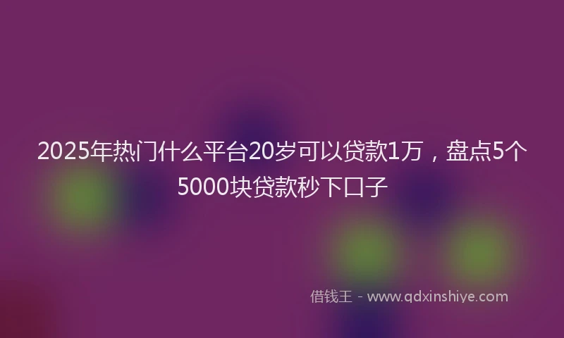 2025年热门什么平台20岁可以贷款1万，盘点5个5000块贷款秒下口子