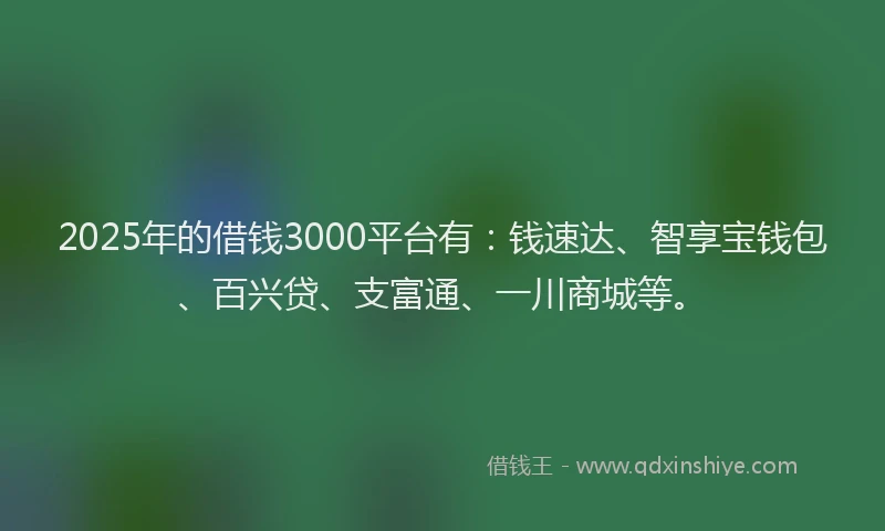 2025年的借钱3000平台有：钱速达、智享宝钱包、百兴贷、支富通、一川商城等。