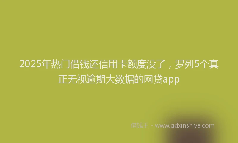 2025年热门借钱还信用卡额度没了，罗列5个真正无视逾期大数据的网贷app