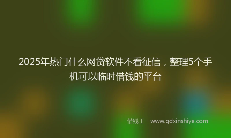 2025年热门什么网贷软件不看征信，整理5个手机可以临时借钱的平台