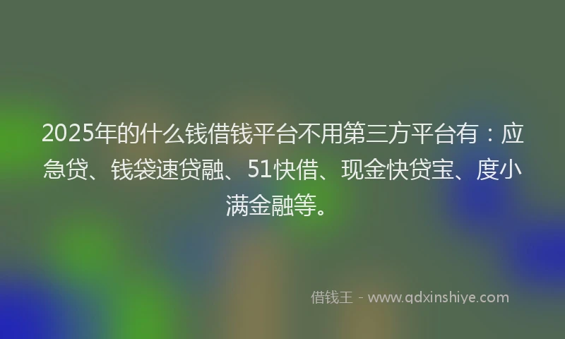 2025年的什么钱借钱平台不用第三方平台有：应急贷、钱袋速贷融、51快借、现金快贷宝、度小满金融等。