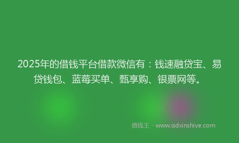 2025年的借钱平台借款微信有：钱速融贷宝、易贷钱包、蓝莓买单、甄享购、银票网等。