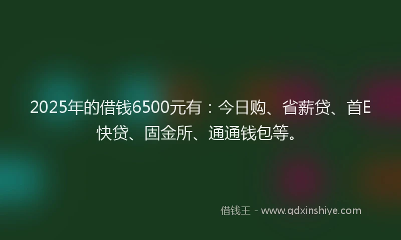 2025年的借钱6500元有：今日购、省薪贷、首E快贷、固金所、通通钱包等。