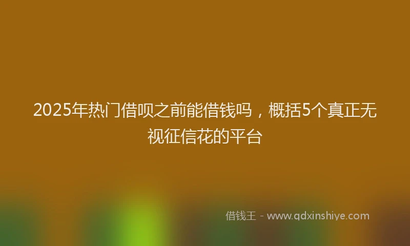 2025年热门借呗之前能借钱吗，概括5个真正无视征信花的平台