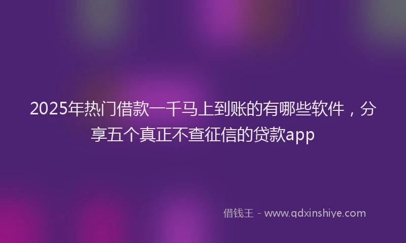 2025年热门借款一千马上到账的有哪些软件，分享五个真正不查征信的贷款app