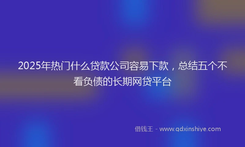 2025年热门什么贷款公司容易下款，总结五个不看负债的长期网贷平台