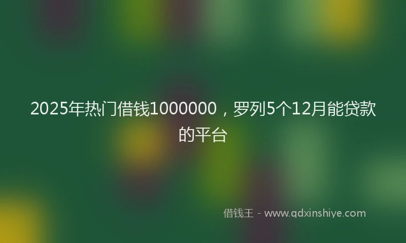 2025年热门借钱1000000，罗列5个12月能贷款的平台