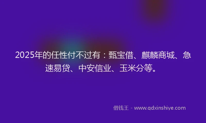 2025年的任性付不过有：甄宝借、麒麟商城、急速易贷、中安信业、玉米分等。