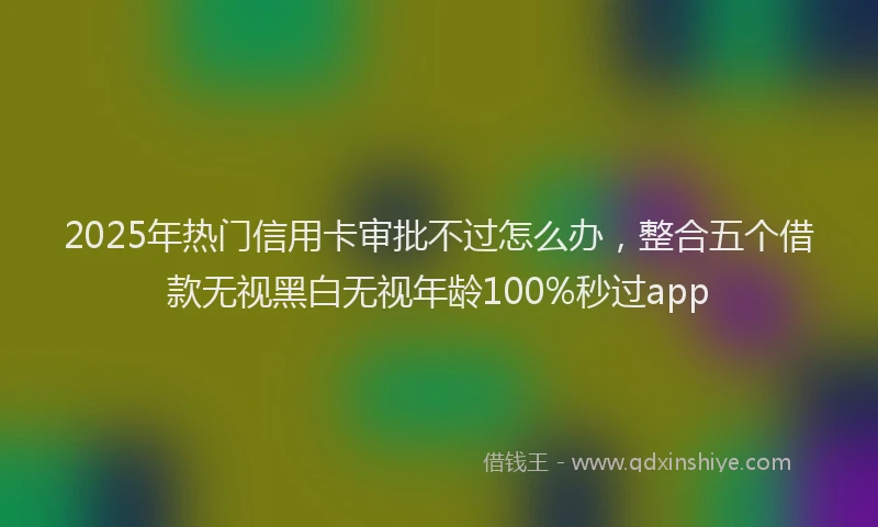 2025年热门信用卡审批不过怎么办，整合五个借款无视黑白无视年龄100%秒过app