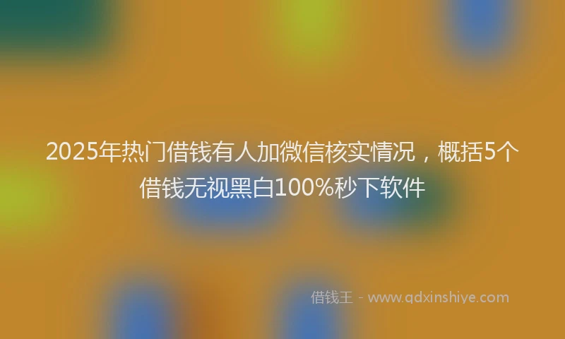 2025年热门借钱有人加微信核实情况，概括5个借钱无视黑白100%秒下软件