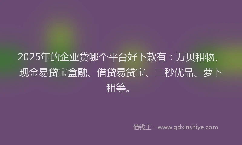 2025年的企业贷哪个平台好下款有：万贝租物、现金易贷宝盒融、借贷易贷宝、三秒优品、萝卜租等。